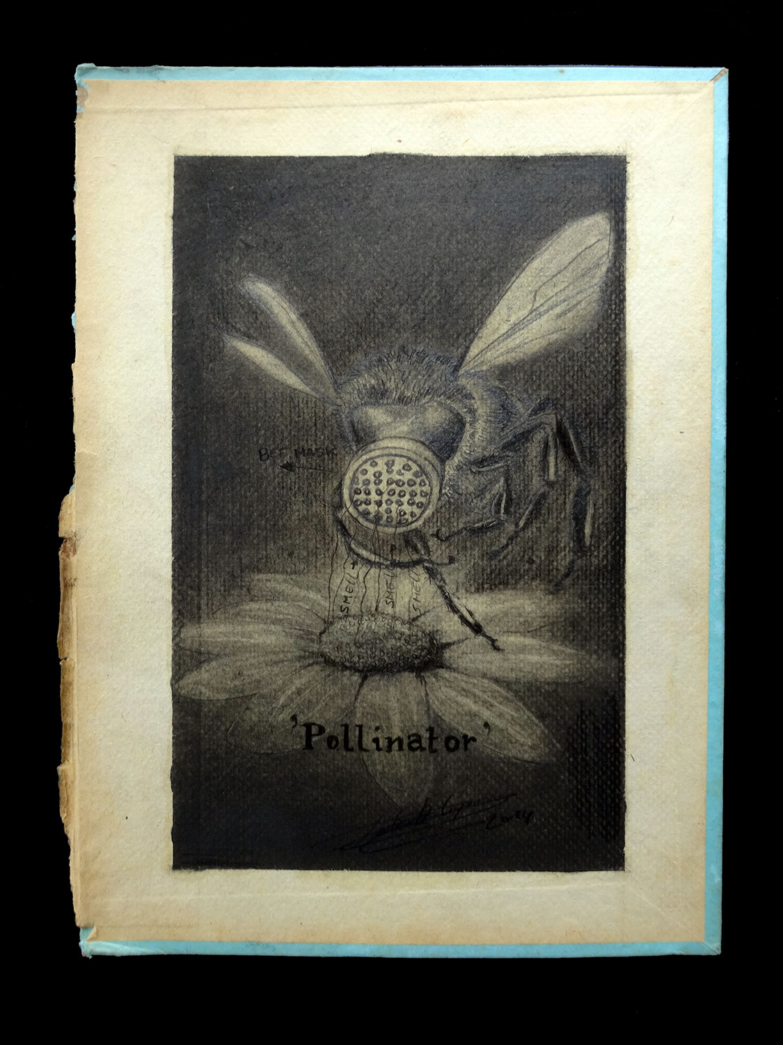 Pollinator-drawing-1-web