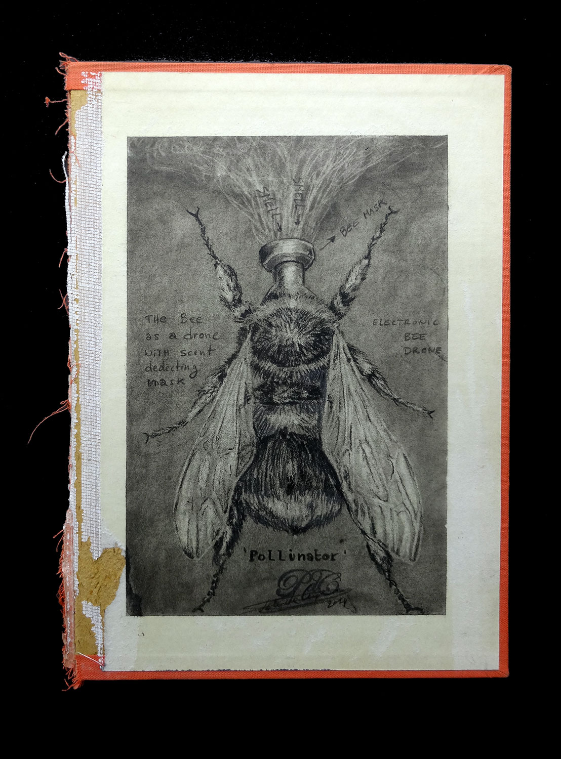 Pollinator-drawing-3-web